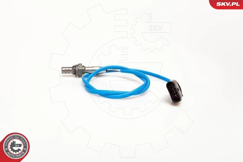 Oxygen Sensor